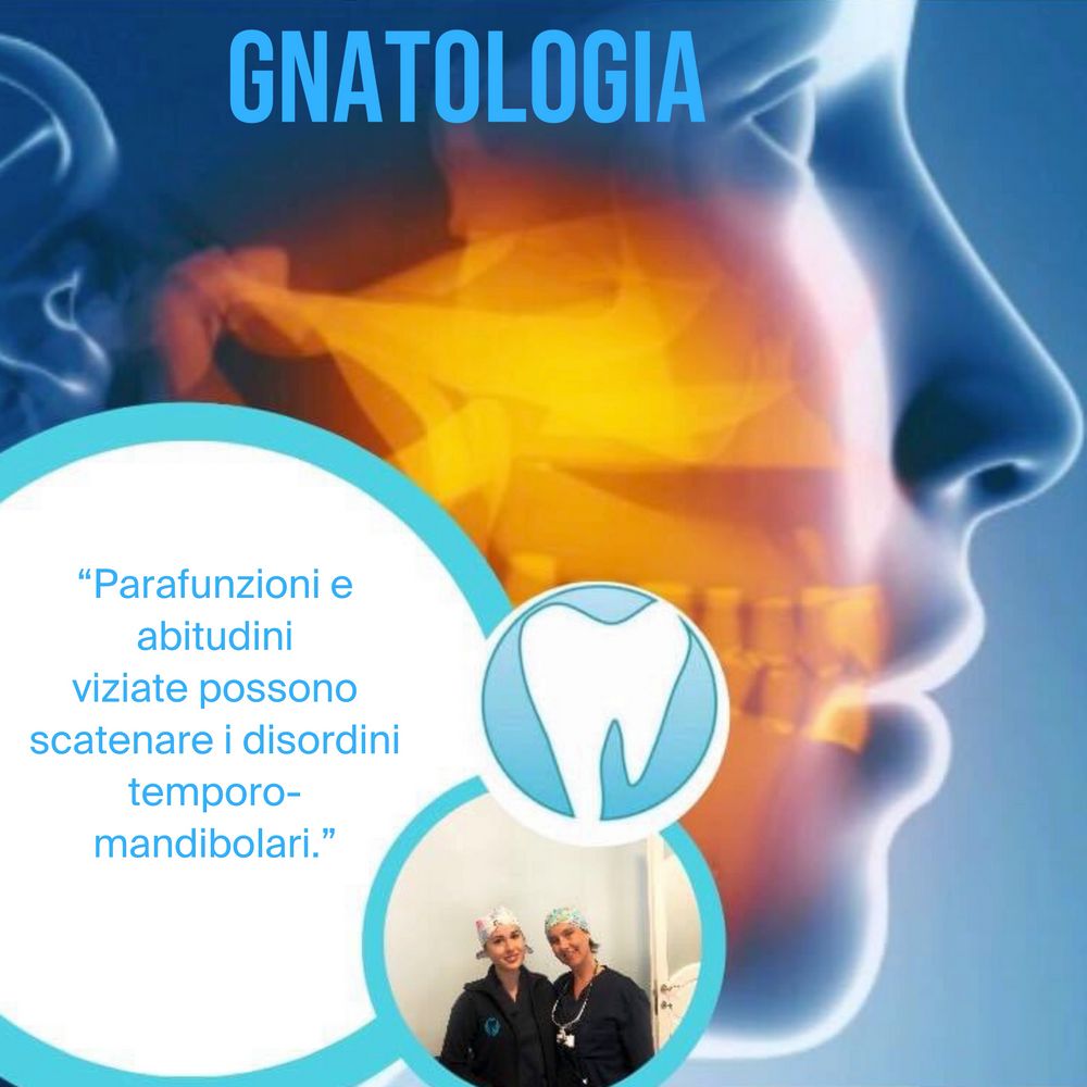 gnatologia